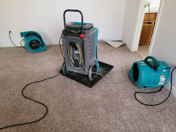 Best Flood restoration services  in Ke Arthur, LA