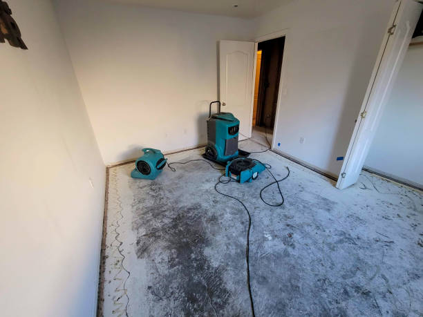 Best Carpet water damage restoration  in Ke Arthur, LA