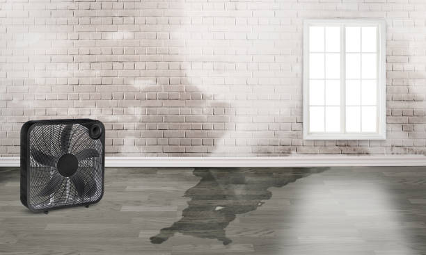 Best Water damage restoration cost  in Ke Arthur, LA