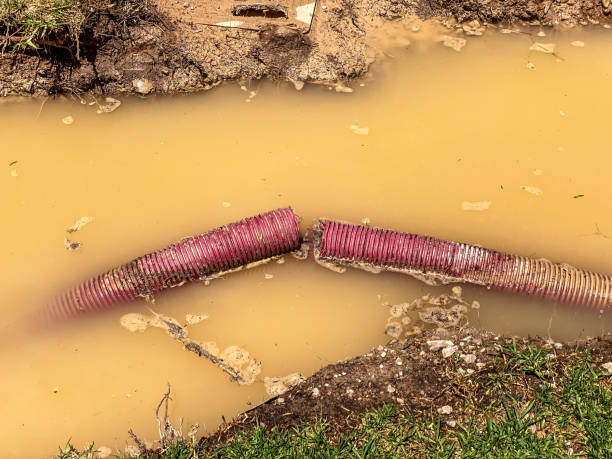 Best Sewage cleanup and water damage restoration  in Ke Arthur, LA