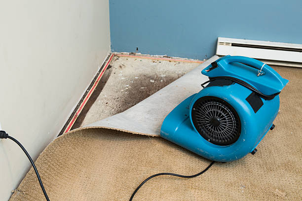 Best Commercial water damage restoration  in Ke Arthur, LA
